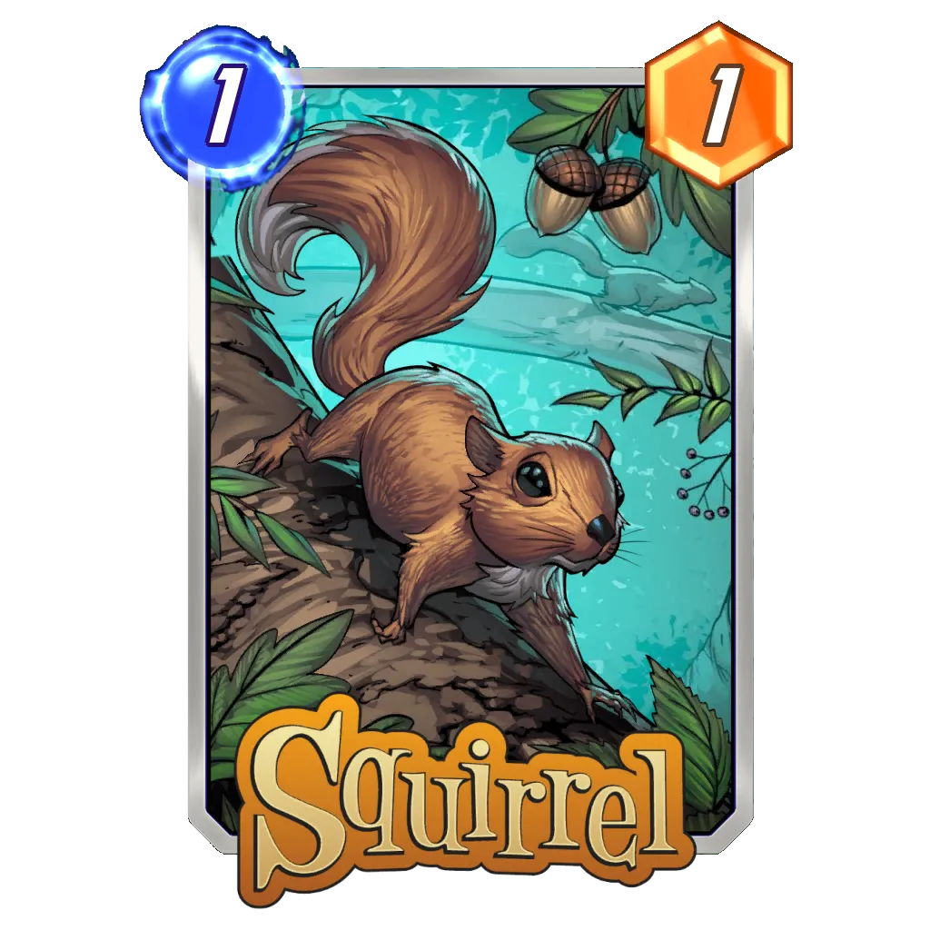 Squirrel